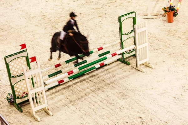 Horse and rider  jumping — Stock Photo, Image