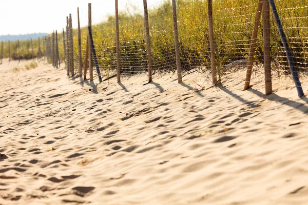 Sandy beach in summer and grassy dunes with fence — Stock Photo, Image