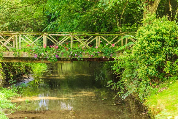 Nehrin üzerinde yeşil bahçede eski küçük bir köprü. — Stok fotoğraf