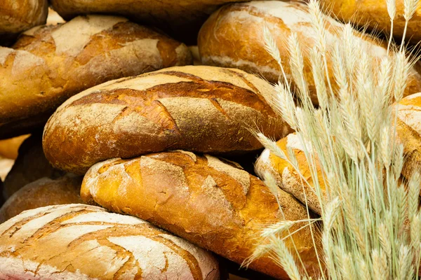 许多棕色的乡村新鲜黑麦面包面包 — 图库照片
