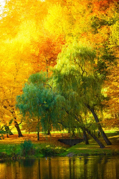 Wasser mit Herbstbäumen im Park — Stockfoto