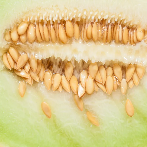 Melon avec des pépins comme fond alimentaire . — Photo