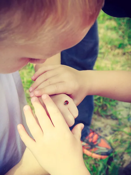 Ladybug on human finger hand. — Stock Photo, Image