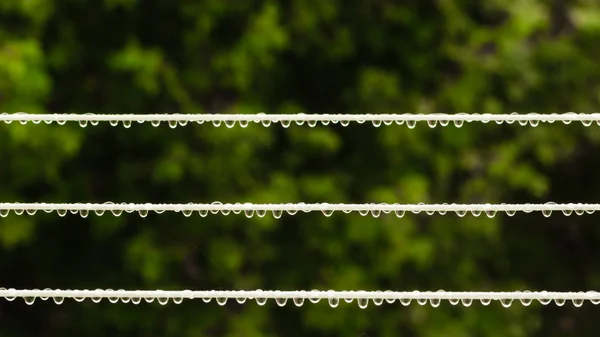 Cuerdas f con gotas de lluvia —  Fotos de Stock