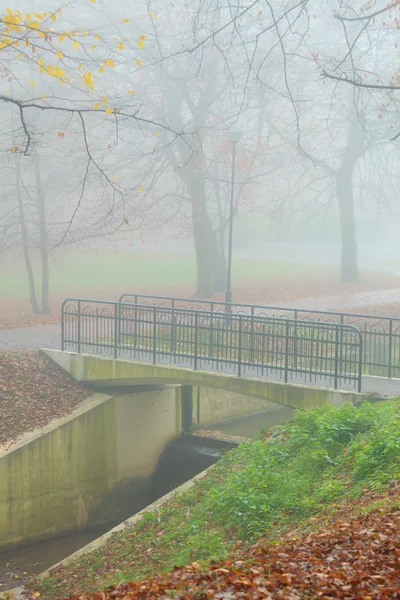 Мост в осеннем туманном парке — стоковое фото