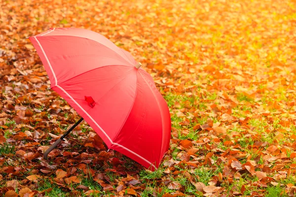 Rött paraply i höst park — Stockfoto