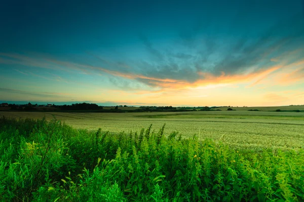 Vacker solnedgång på en sätta in våren — Stockfoto