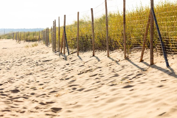 Sandy beach in summer — Stock Photo, Image