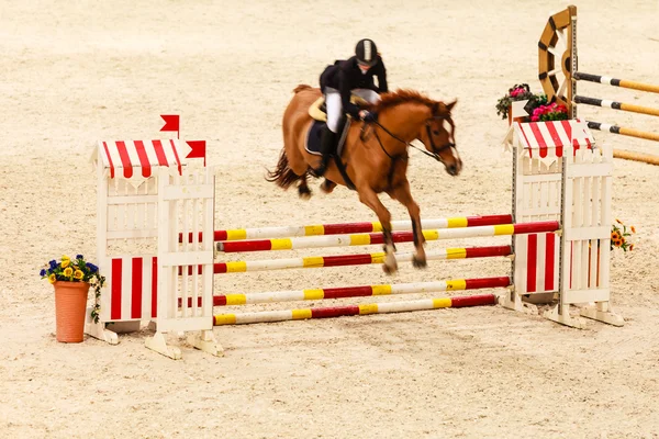 Kuda dan penunggang melompat — Stok Foto
