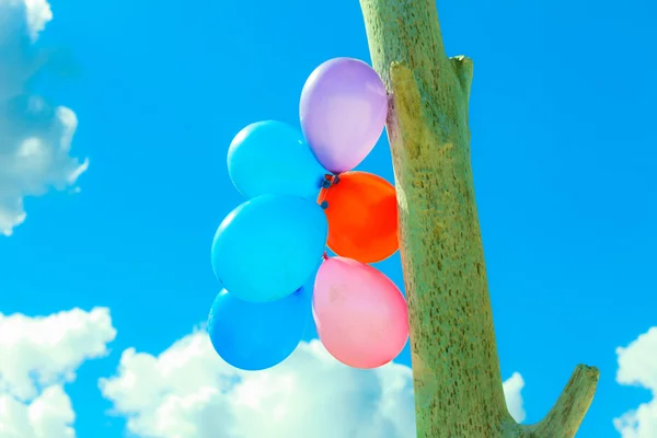Colorful balloon chain — Stock Photo, Image