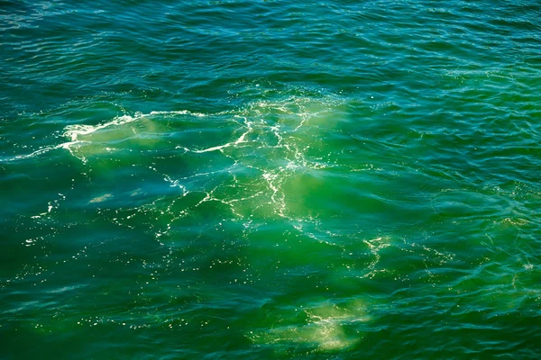 Sea with blue green water — Stock Photo, Image