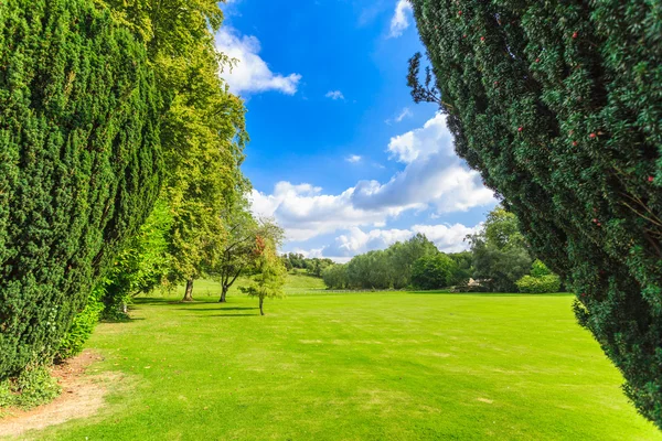 Countryside view of green field. — Stock Photo, Image