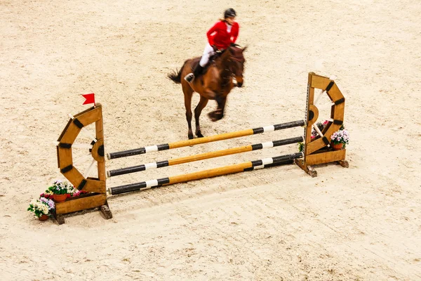 ม้าและคนขี่กระโดด — ภาพถ่ายสต็อก