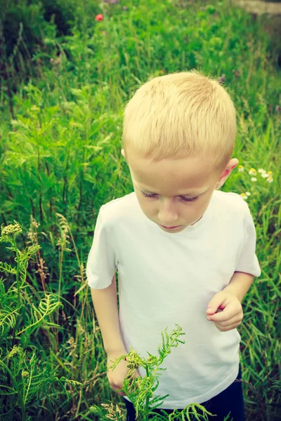 Enfant cueillant des fleurs dans la prairie. Environnement . — Photo
