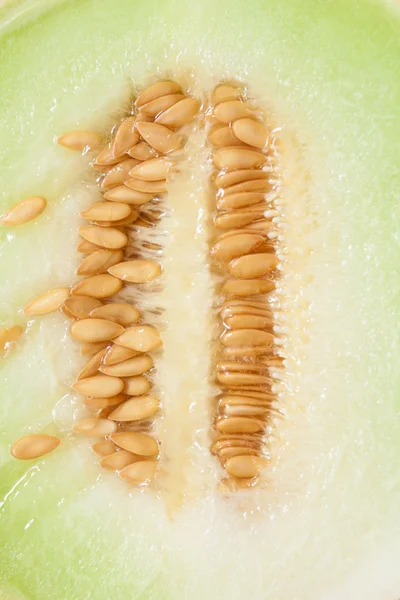 Melon avec des pépins comme fond alimentaire . — Photo