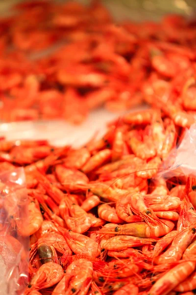Shrimps in  fish market — Stock Photo, Image