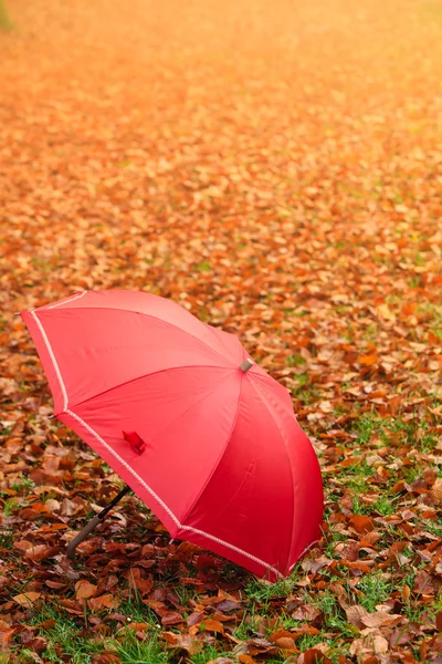 Paraply på höstlöv — Stockfoto