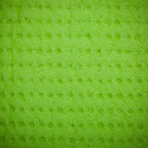 Vivid green sponge — Stock Photo, Image
