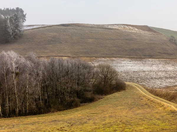 Frostige hügelige Felder — Stockfoto