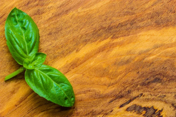 Fresh basil leaves — Stock Photo, Image