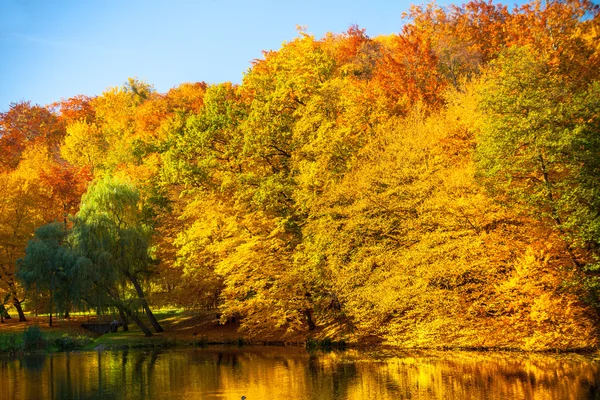 Eau avec arbres d'automne dans le parc — Photo