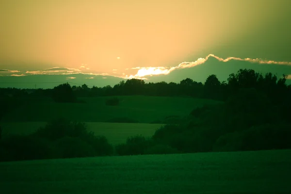 Coucher de soleil sur le champ vert d'été — Photo