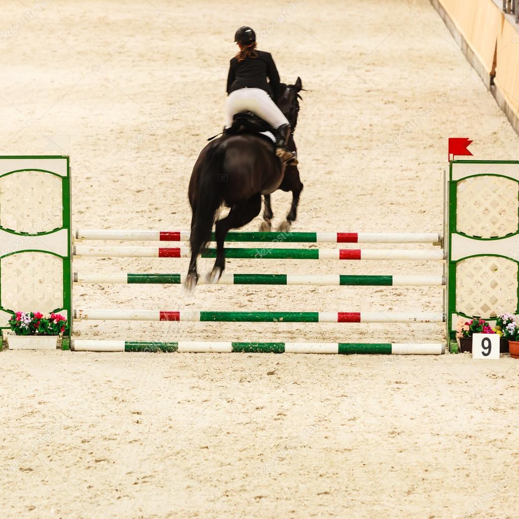 Equitation. show jumping Stock Photo by ©Voyagerix 79183218