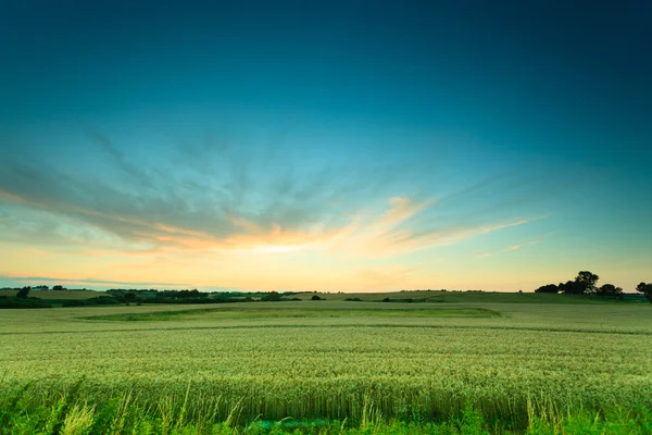 Frumos apus de soare pe un câmp de primăvară — Fotografie, imagine de stoc