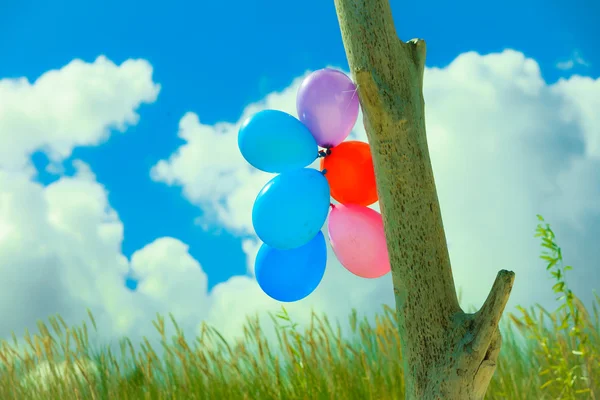 Cadeia de balões coloridos — Fotografia de Stock