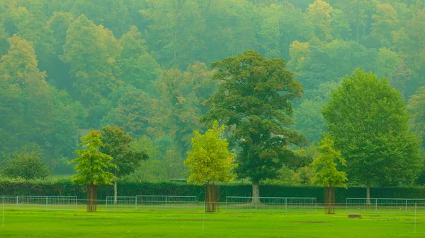 Campo erba paesaggio . — Foto Stock