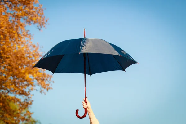 Umbrella in hand on blue background — Stock Photo, Image