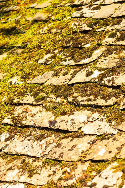 Кам'яний дах з мохом — стокове фото