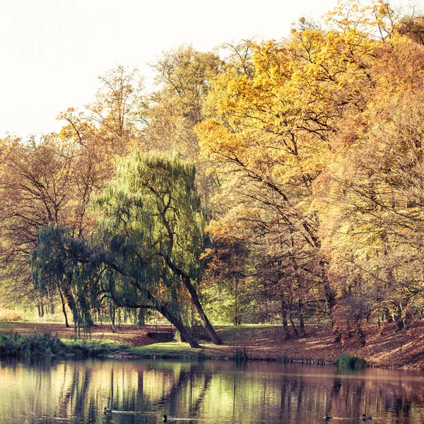 Autumn park with pond — Stock Photo, Image