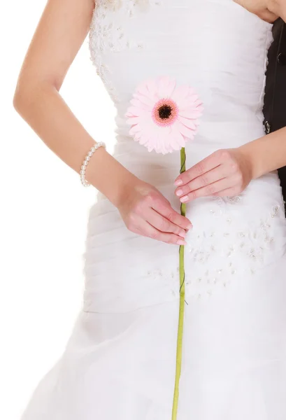 Hochzeitstag. rosa Blume Gerbera in der Hand der Braut — Stockfoto