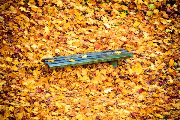 . Panchina e foglie in parco di città . — Foto Stock