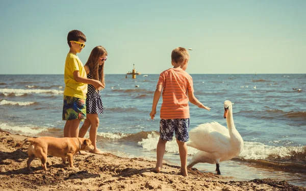 Niña niños niños en la playa divertirse con cisne . — Foto de Stock