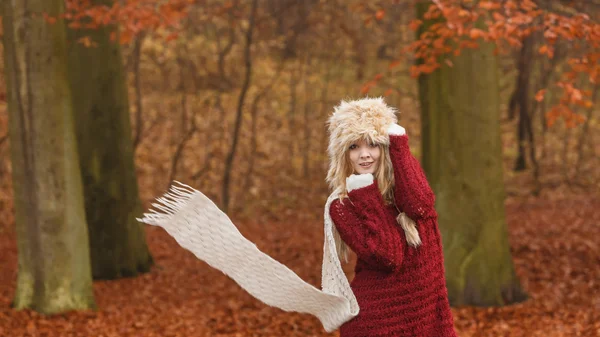 風が強い秋秋の公園森ファッション女性. — ストック写真