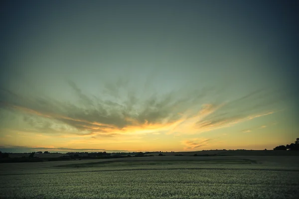 Восход солнца на летнем поле — стоковое фото