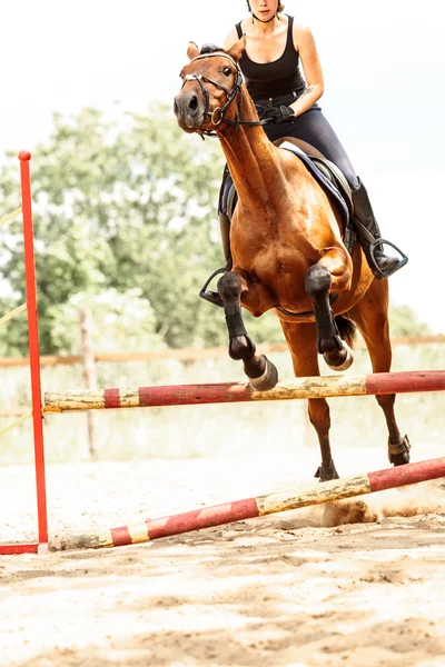 Mujer jinete entrenando a caballo. Actividad deportiva — Foto de Stock