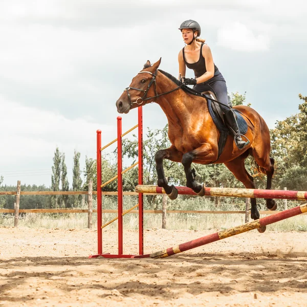 Woman jockey training riding horse. Sport activity