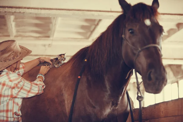 Woman with little cat animal on horse horseback. — Stock Photo, Image