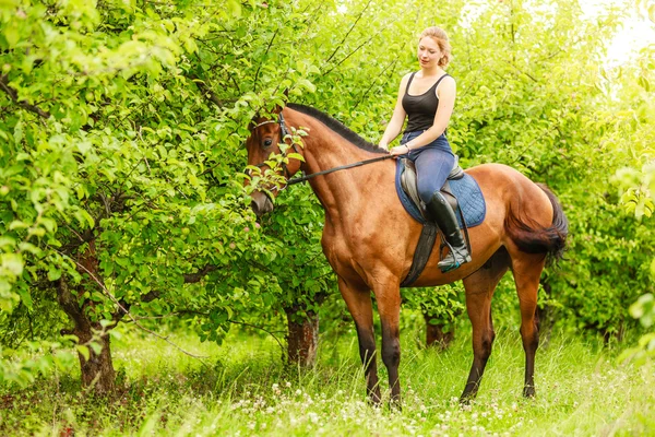 女人赛马训练骑乘马。体育活动 — 图库照片
