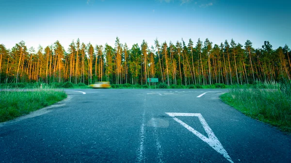 Asphaltierter Wegweiser und Wald — Stockfoto