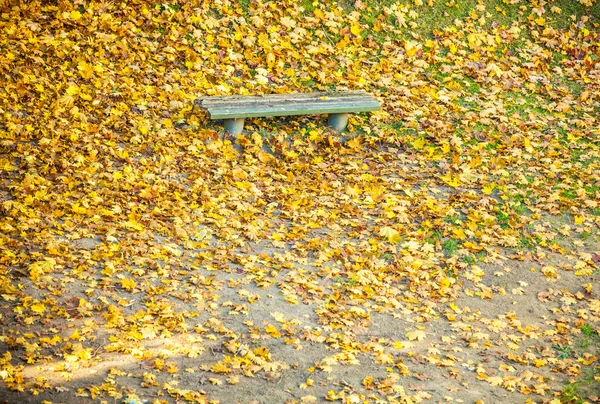 ベンチと黄色のカエデの葉 — ストック写真