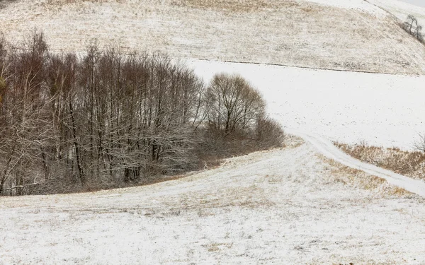 Campos cubiertos de nieve fresca blanca . — Foto de Stock