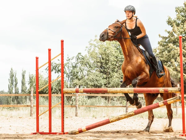 Mulher jóquei a treinar cavalo. Actividade desportiva — Fotografia de Stock