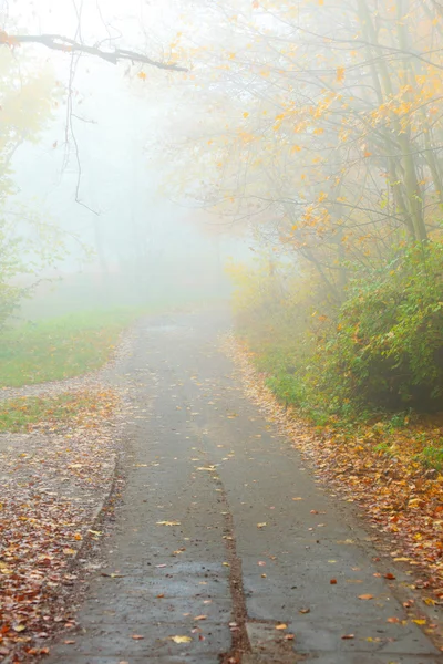 Percorso attraverso il nebbioso parco autunnale — Foto Stock