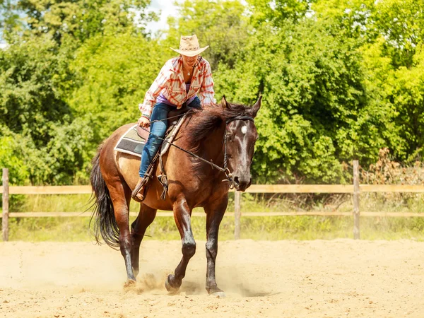 Västra cowgirl kvinna ridning häst. Sport aktivitet — Stockfoto