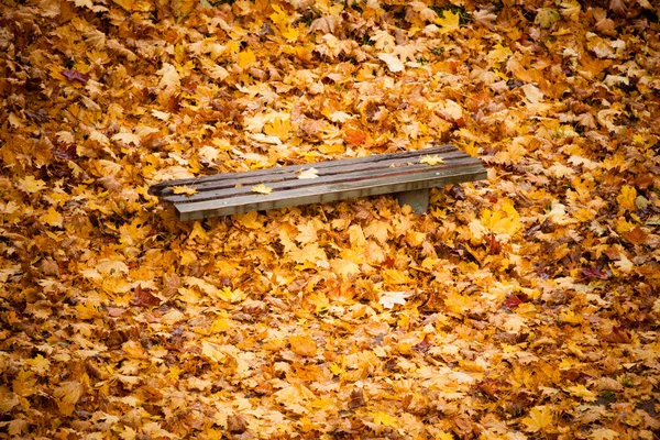 Herbstliche Herbstlandschaft. Bank und Laub im Stadtpark. — Stockfoto