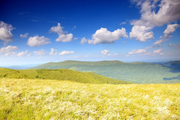 大自然。夏天的田野山水 — 图库照片